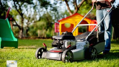 Black Friday Lawn Mower Deals