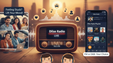 Dilse Radio