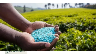 Fertilizer Dealer Supply
