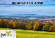 High Weald Aonb