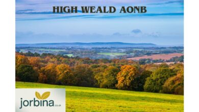 High Weald Aonb