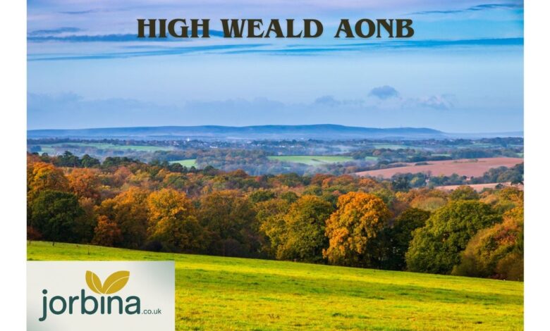 High Weald Aonb
