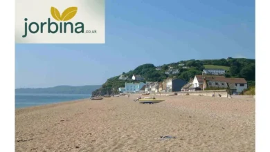 Sandy Beaches South Devon