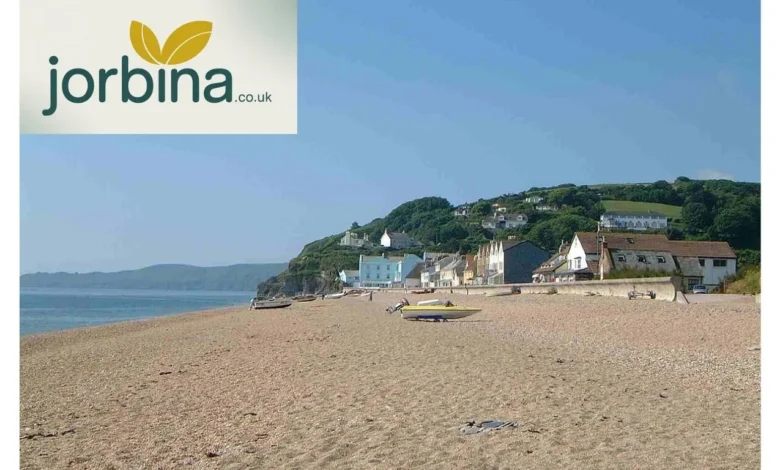 Sandy Beaches South Devon