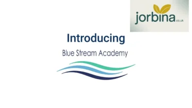 Blue Stream Academy