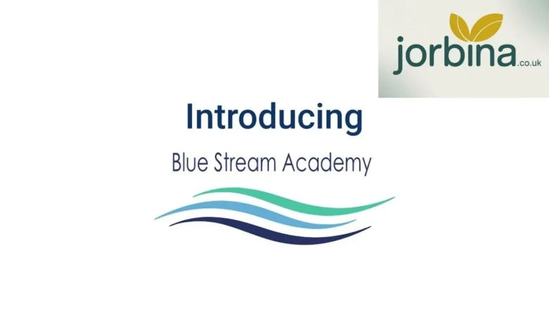 Blue Stream Academy