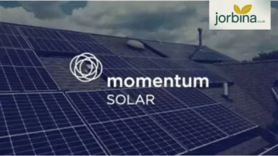 Momentum Solar