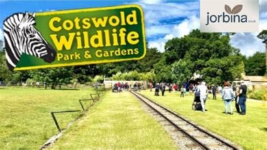 Cotswold Wildlife Park